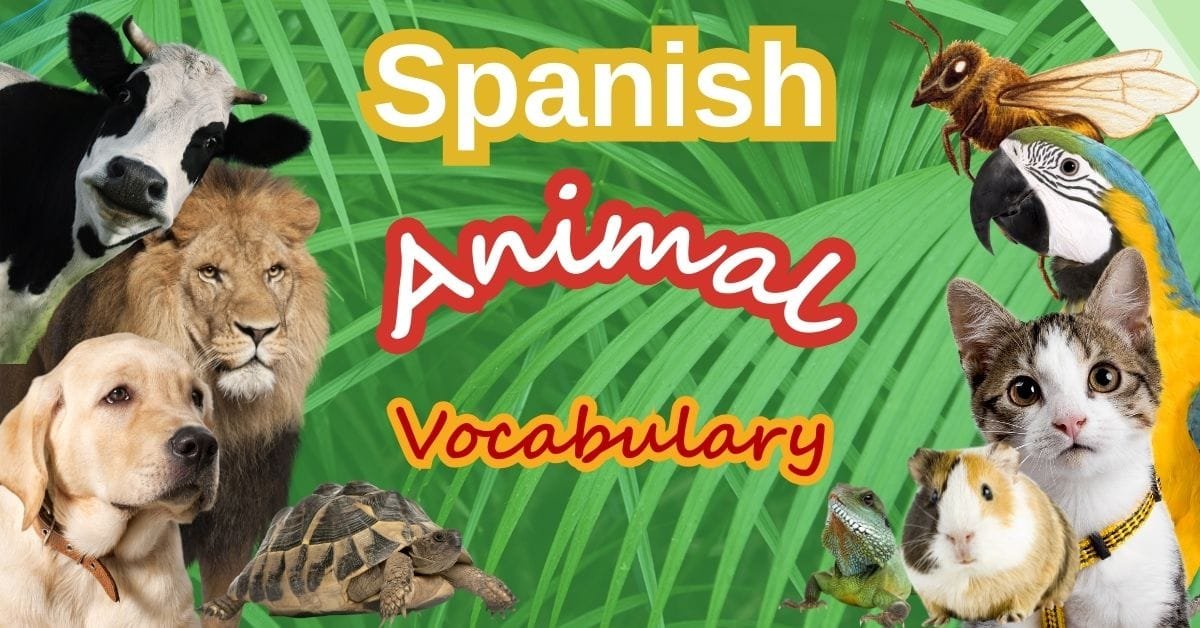 Spanish Animal Vocabulary for Beginners: 100 Animals Names