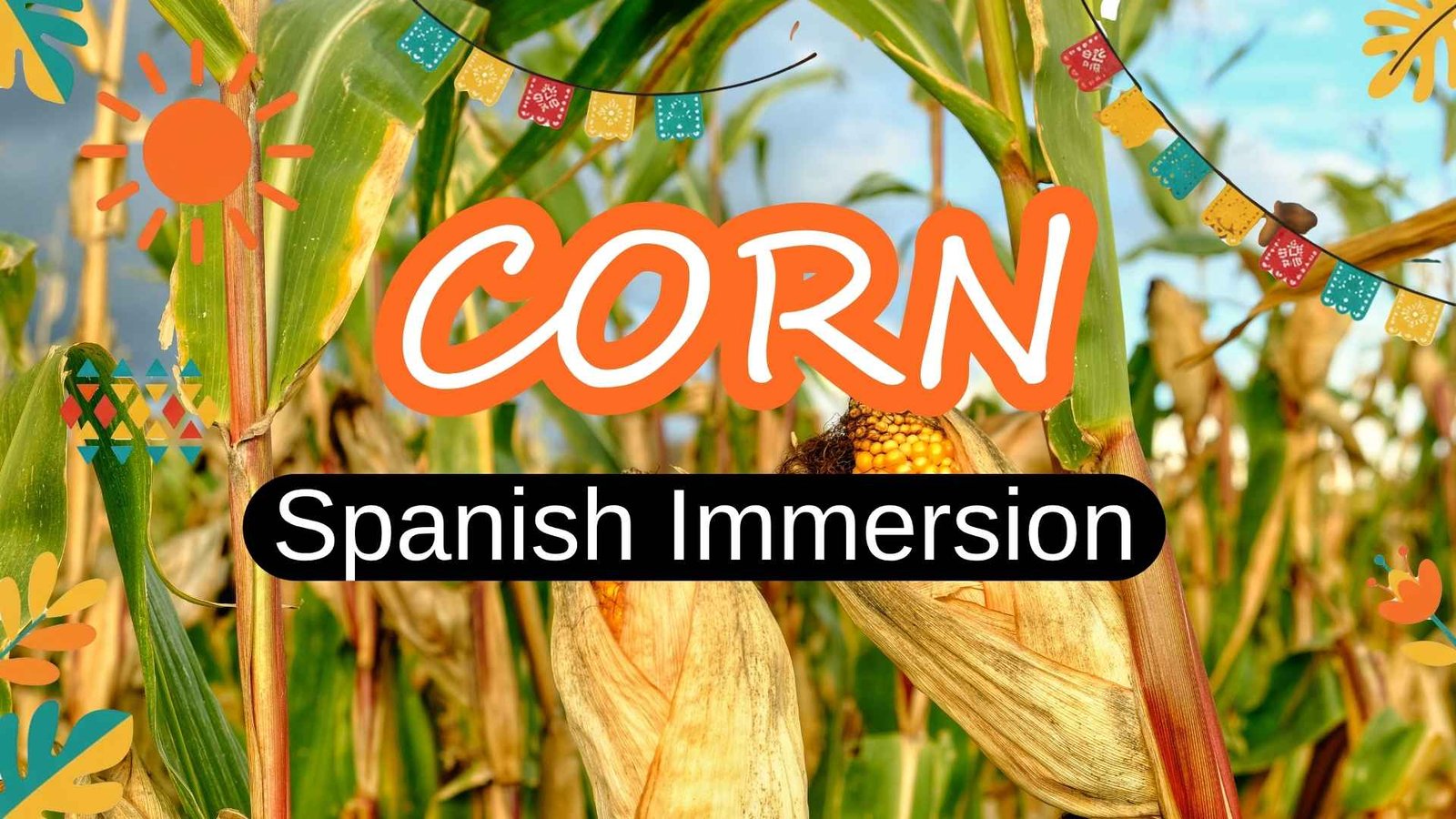 learn spanish with corn latin american food tortillas arepas tamales